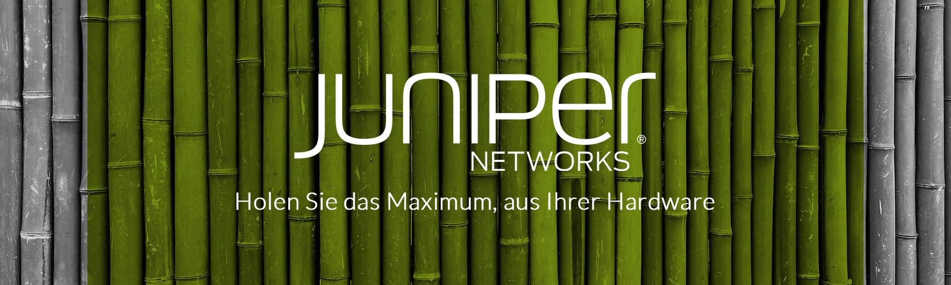 Juniper Networks Logo mit Text auf Bambus Hintergrund